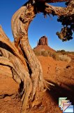 Wild Cat trail